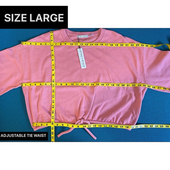 Alice + Olivia Bernetta Pink Cashmere Wool Blend Pullover Sweatshirt Sweater Top - Picture 12 of 17